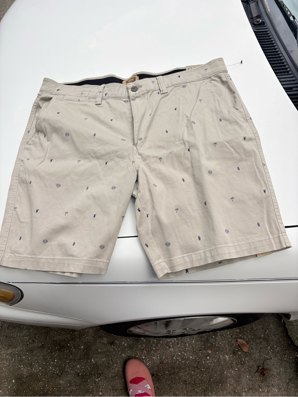 The Foundry Supply Co. Beige Cotton Shorts with Navy Embroidery